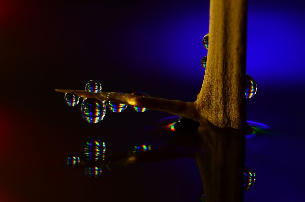 Photograph by Александр Никонофф