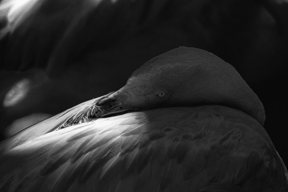Photograph by Fernando Gabriel Castro Ortiz