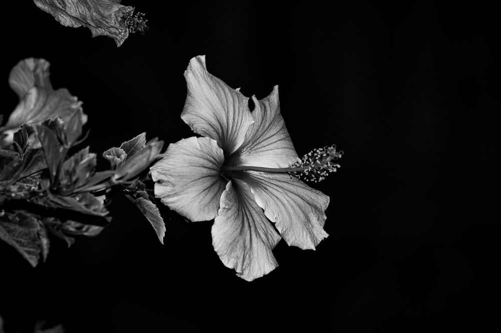 Photograph by Fernando Gabriel Castro Ortiz