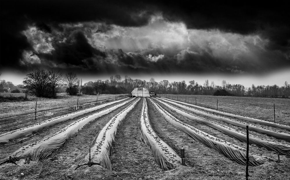 Фотография автора Damir B.