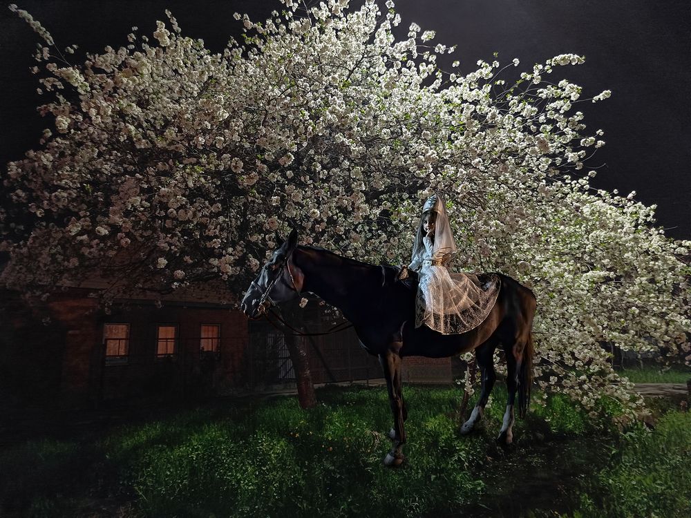 The Princess Of Spring