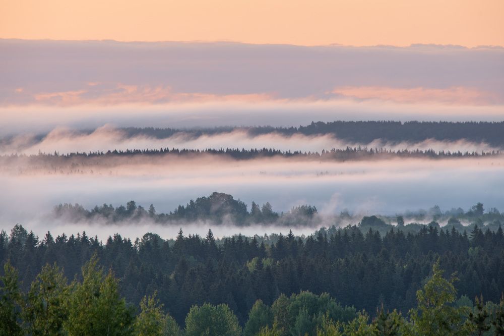 Photograph by Михаил Азаров