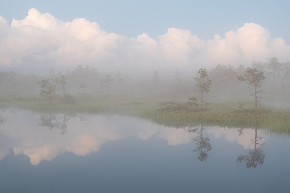 Photograph by Михаил Азаров