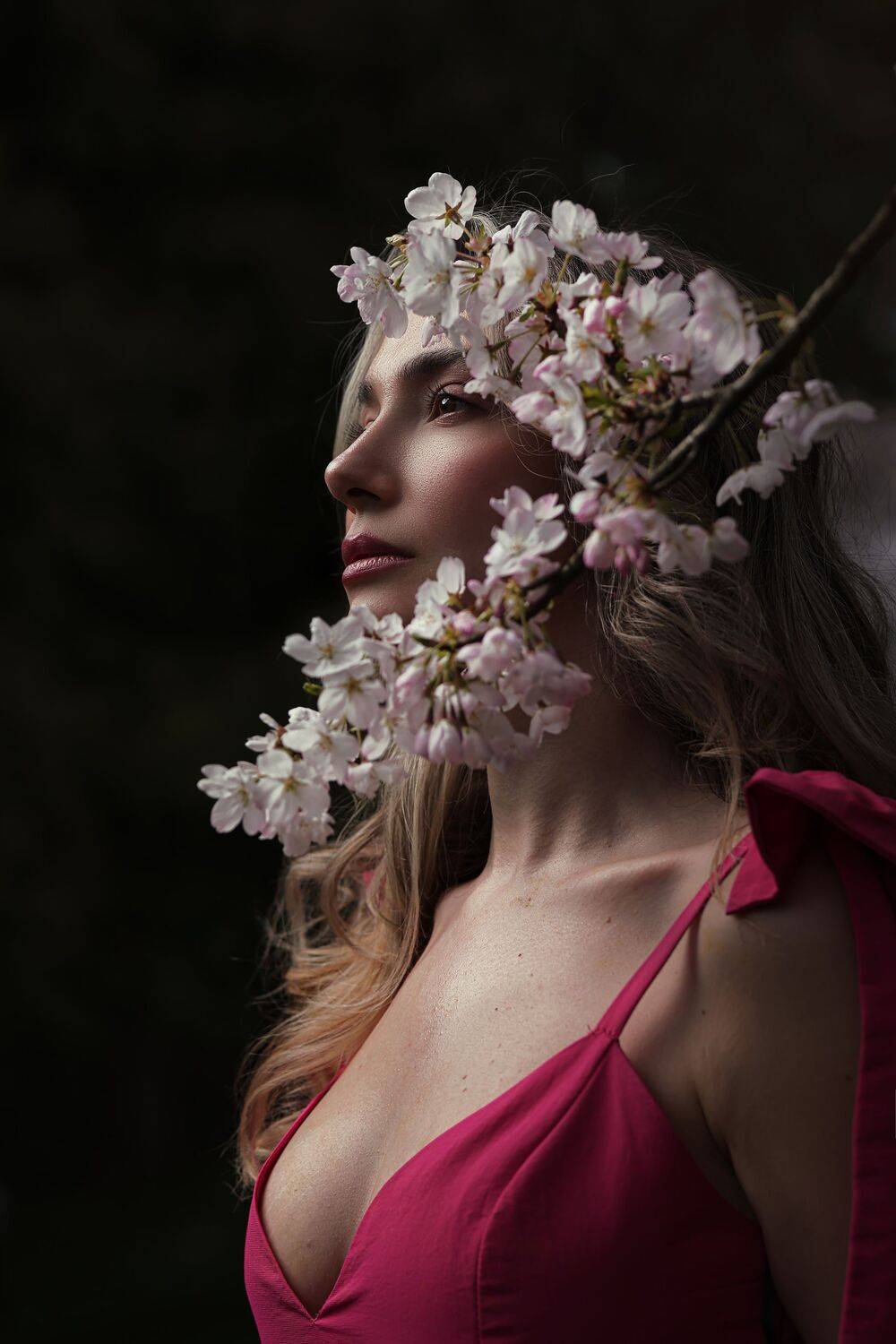 Queen of Blossoms Queen of Blossoms