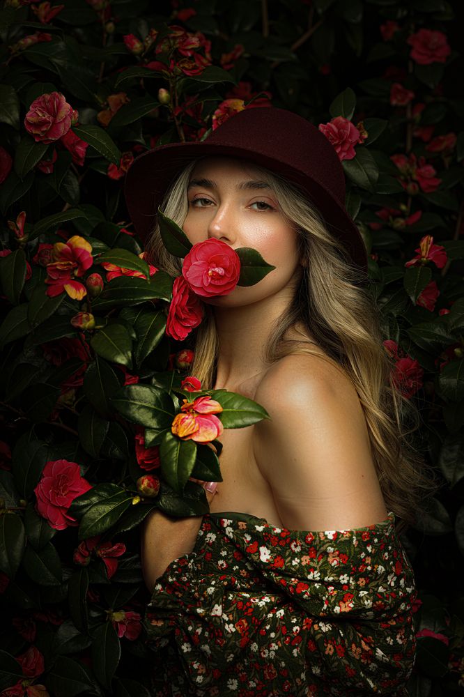 Camellia Japonica\\\\\\\'s Effect