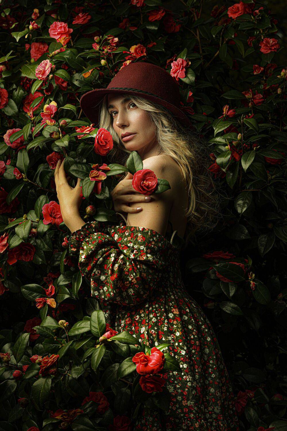 Embrace of Roses Embrace of Roses