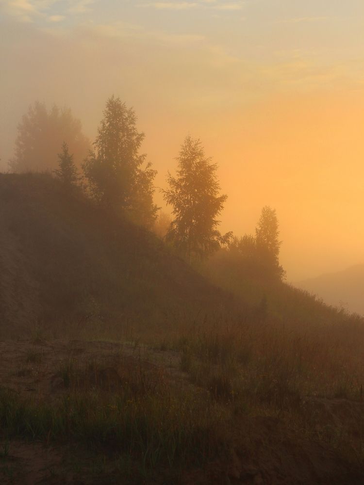 Фотография автора Андрей Шестаков