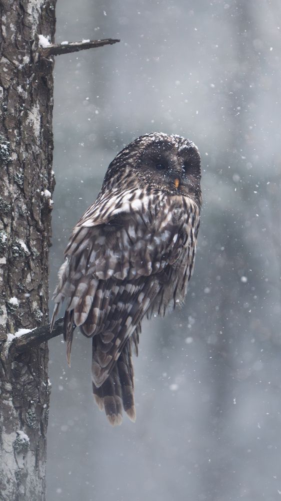 Photograph by Matei Firică
