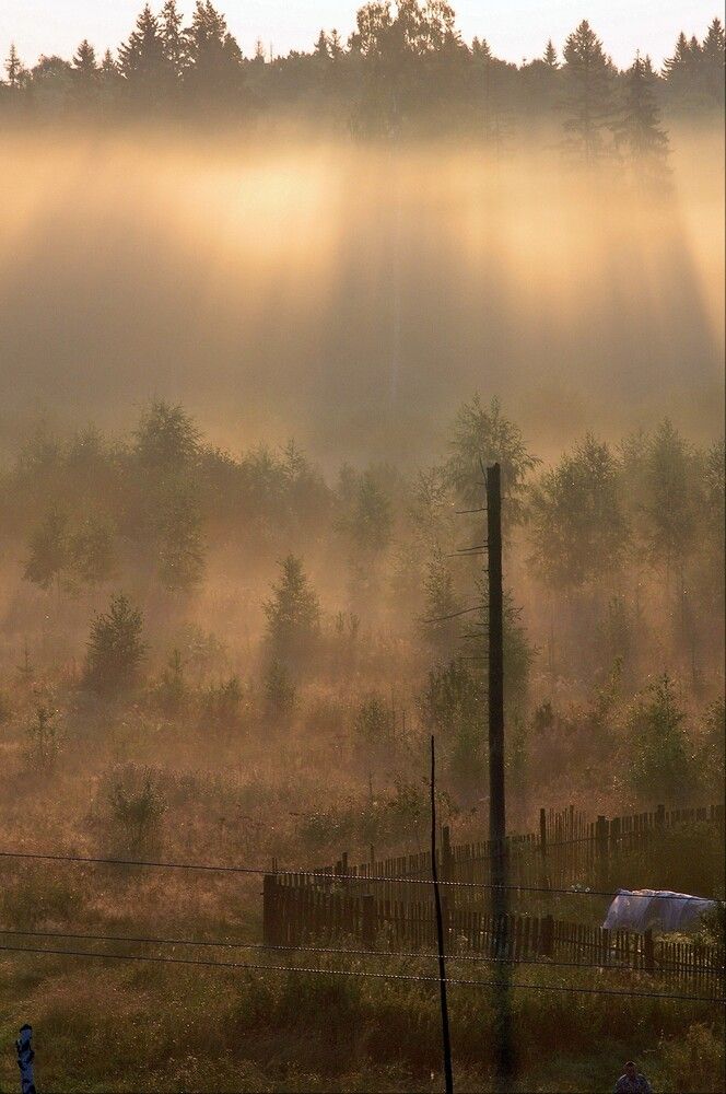 Photograph by Кривенко Владимир