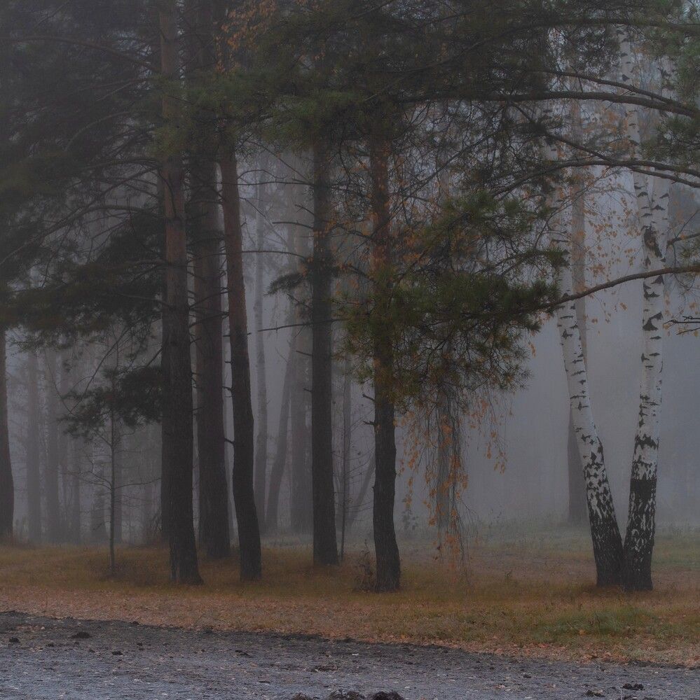 Photograph by Ксения Шилина