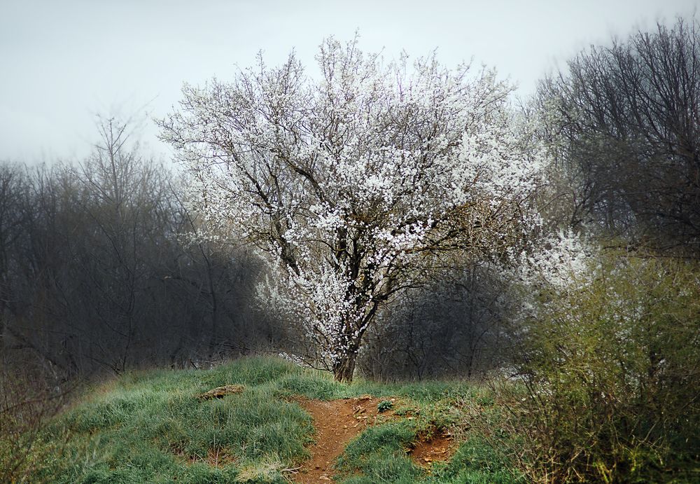 Photograph by Алексей Костин