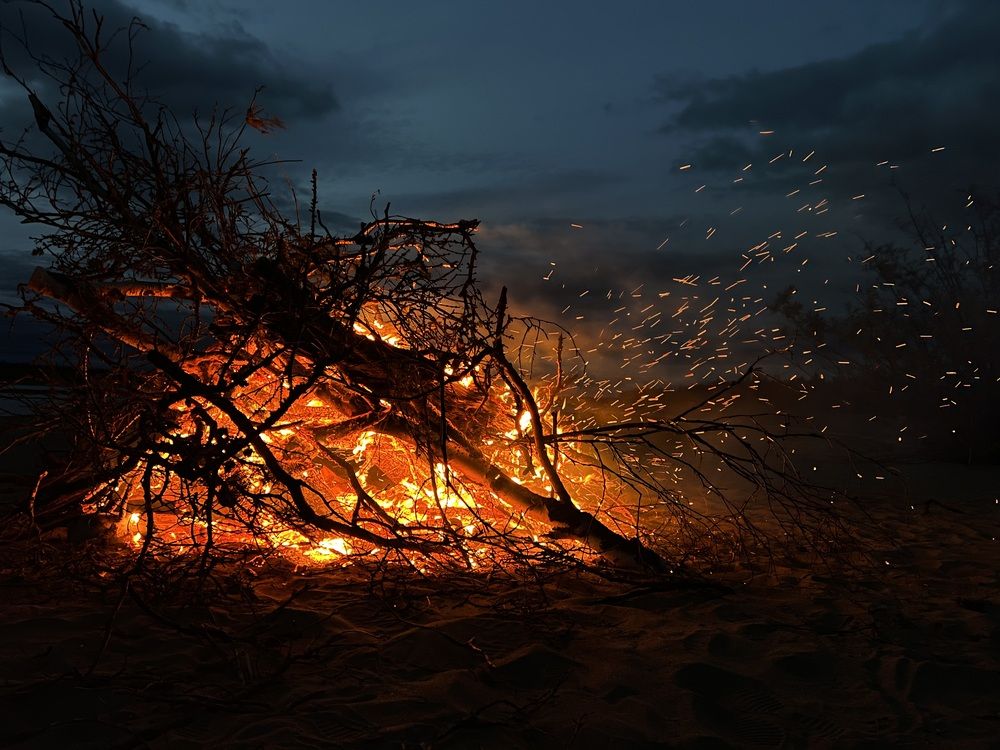 Photograph by Елена Давыдова