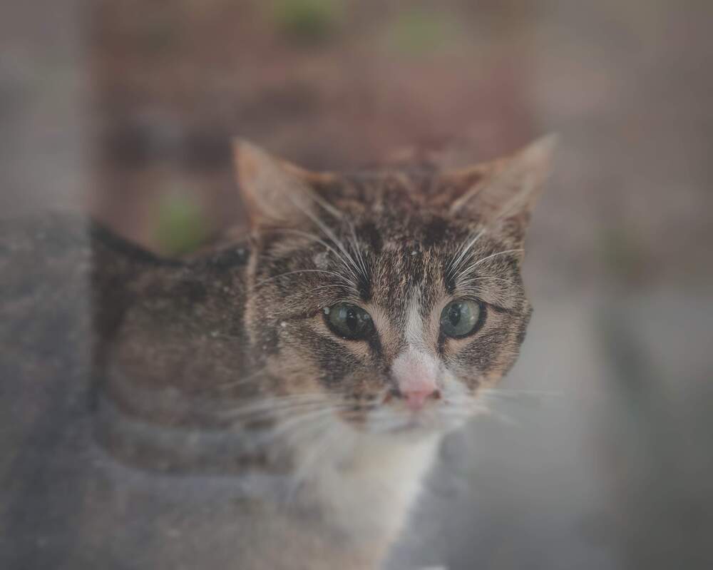 Фотография автора Aliaksandr Kazhdan