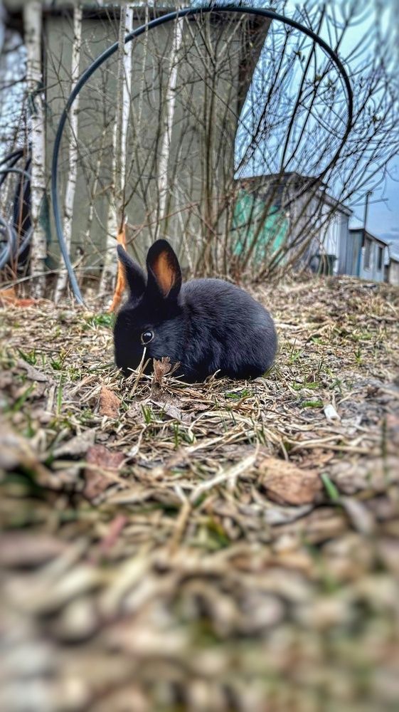 Photograph by мария Жигалова