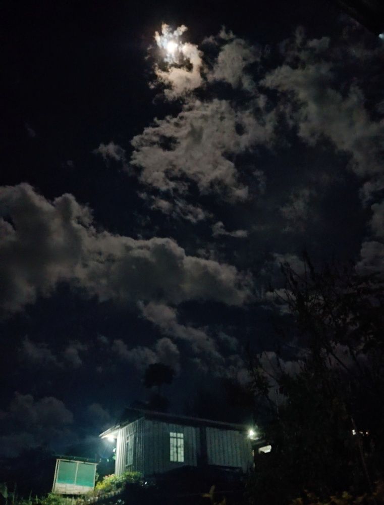 Photograph by Imtiwatila Pongen