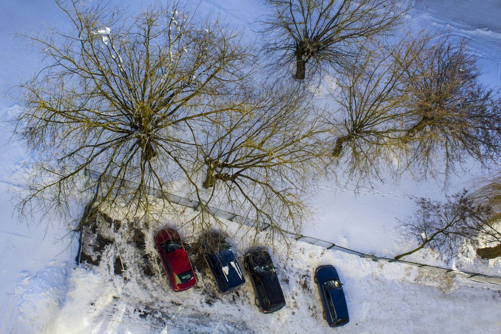 Photograph by Нестеренко Светлана