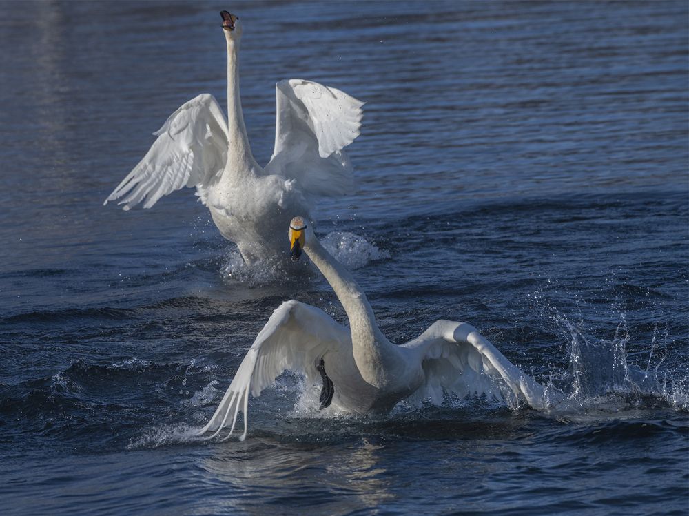 Photograph by Евгений Санин