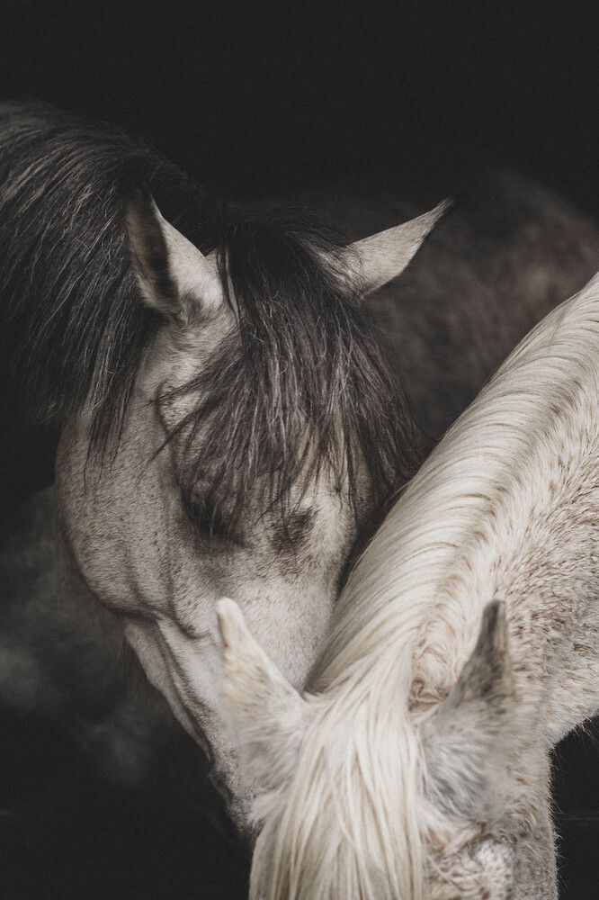 Photograph by Maria Shutova