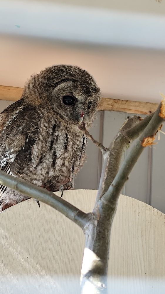 Photo #12124546