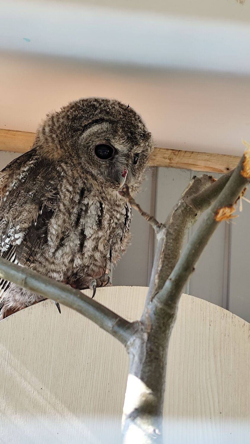 Photo #12124546
