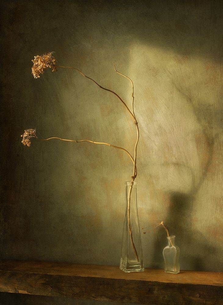 Photograph by Олег Расторгуев