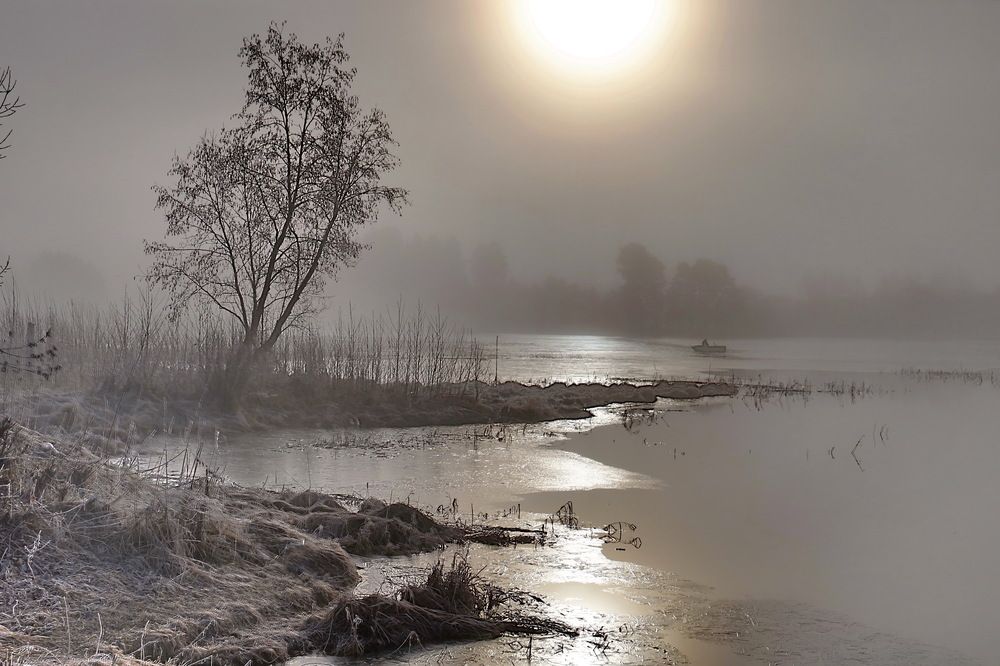 Photograph by 