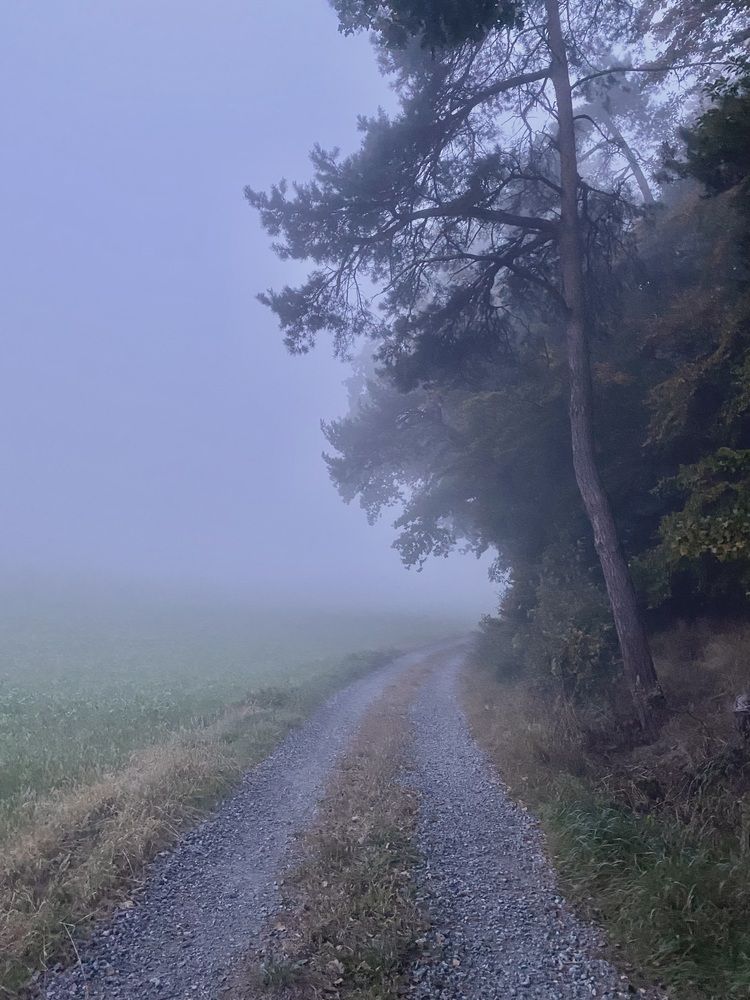 Photograph by Eugenia Schmidt