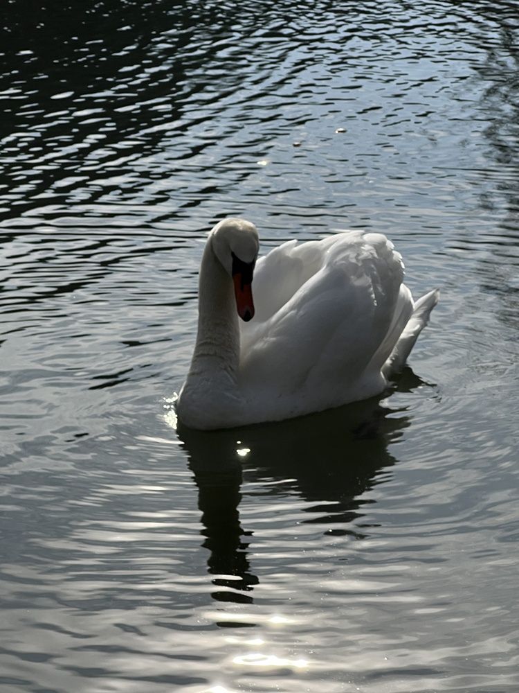 Photograph by Eugenia Schmidt