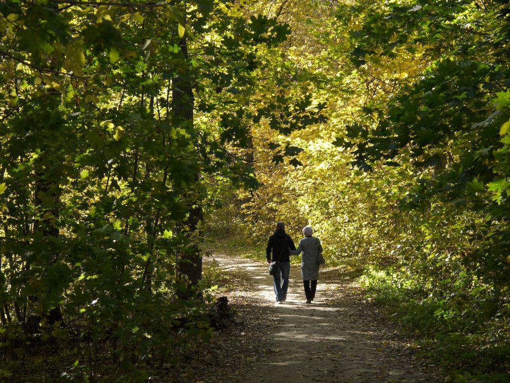 Фотография автора Клавдия Васильева