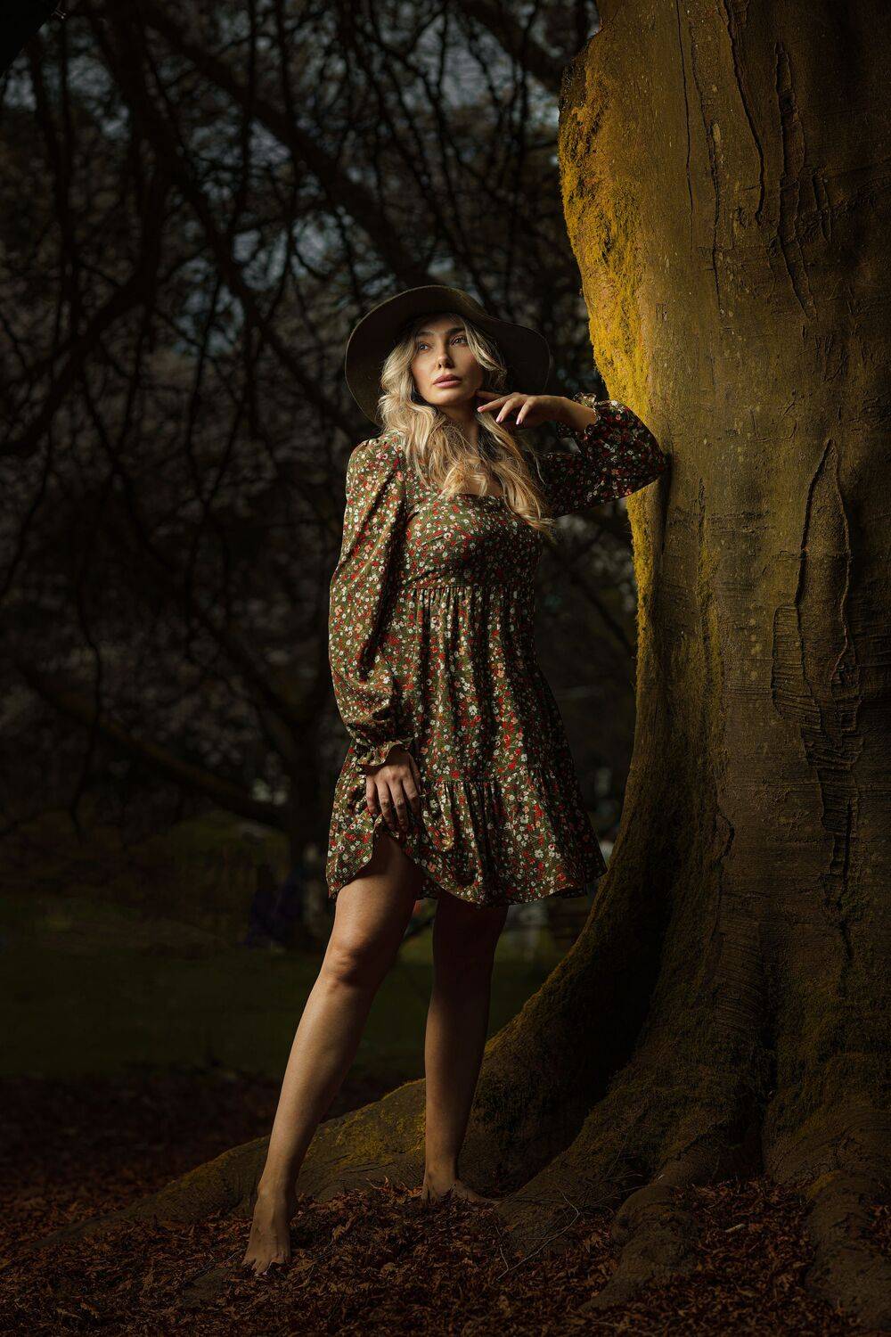 Forest Muse Forest Muse