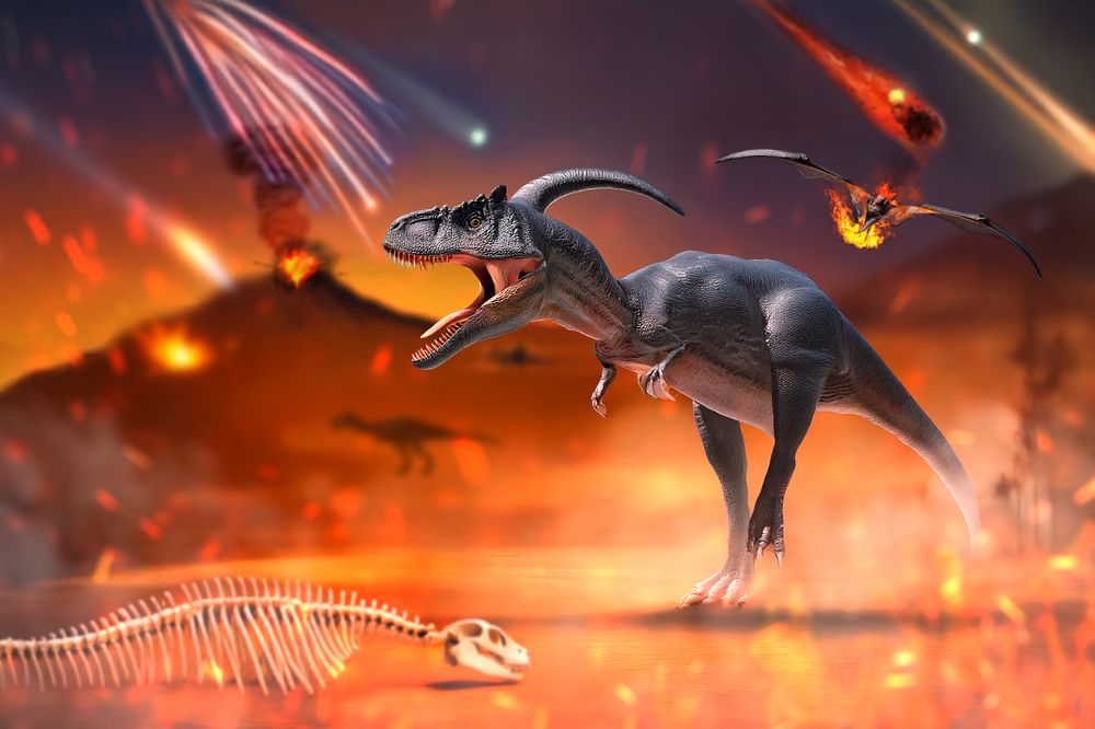 Фотография автора Nikita Suslov