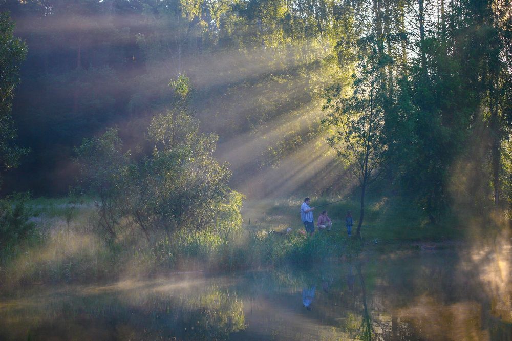 Photograph by Александр Литвинов