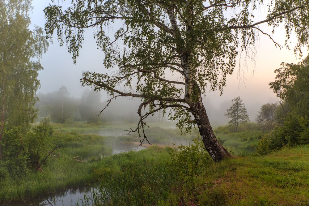 Photograph by Александр Литвинов