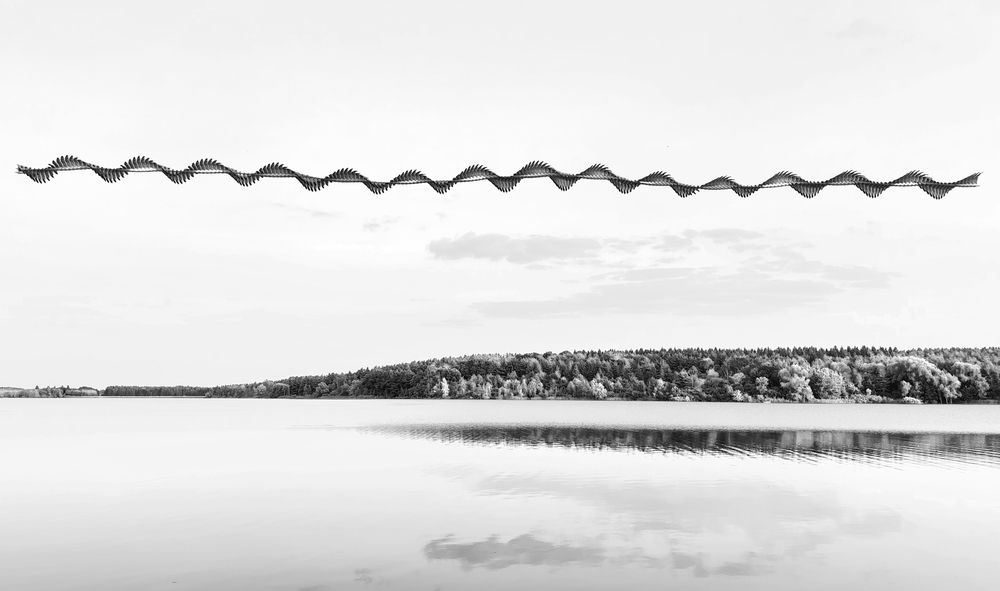 Photograph by Raghuvamsh Chavali