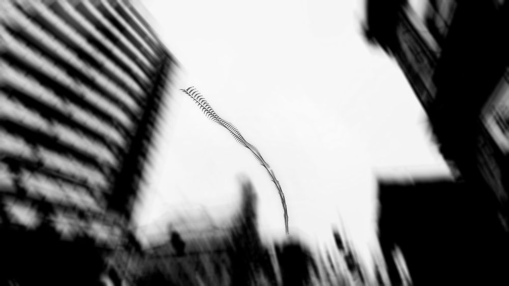 Photograph by Raghuvamsh Chavali