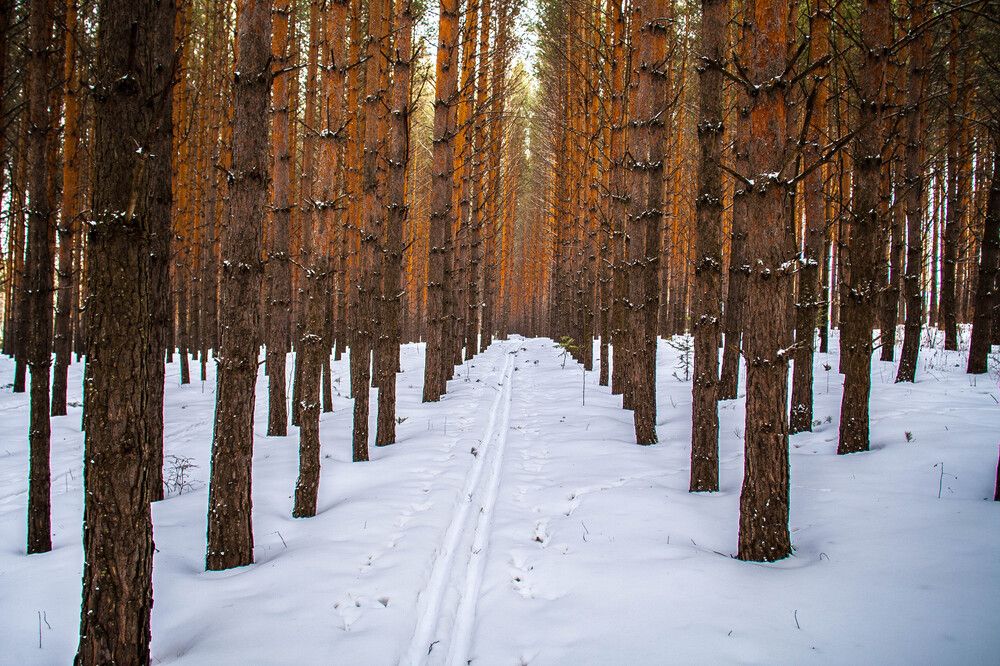 Photograph by Сергей Копылов