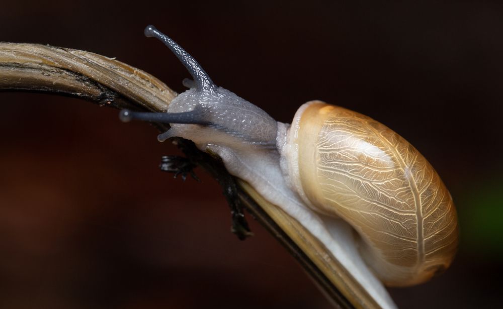 Photograph by Phú Hải