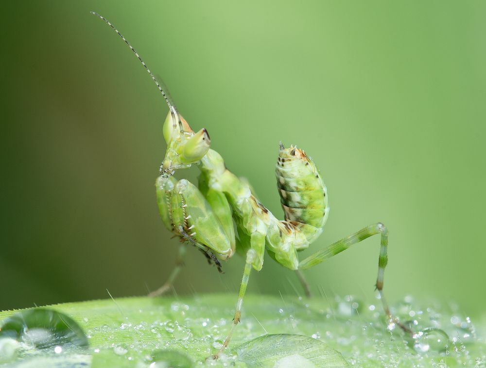 Photograph by Phú Hải