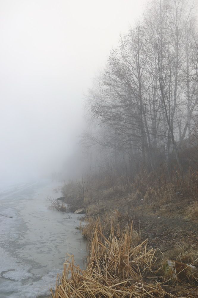 Photograph by Виталий Черепенькин