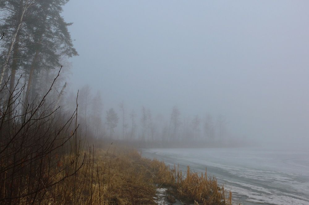 Photograph by Виталий Черепенькин