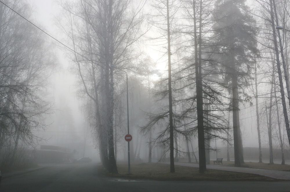 Photograph by Виталий Черепенькин