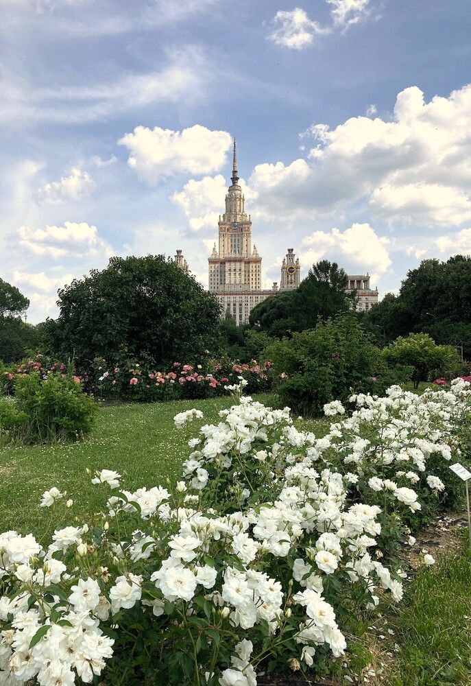 Photograph by Наталья Караблина