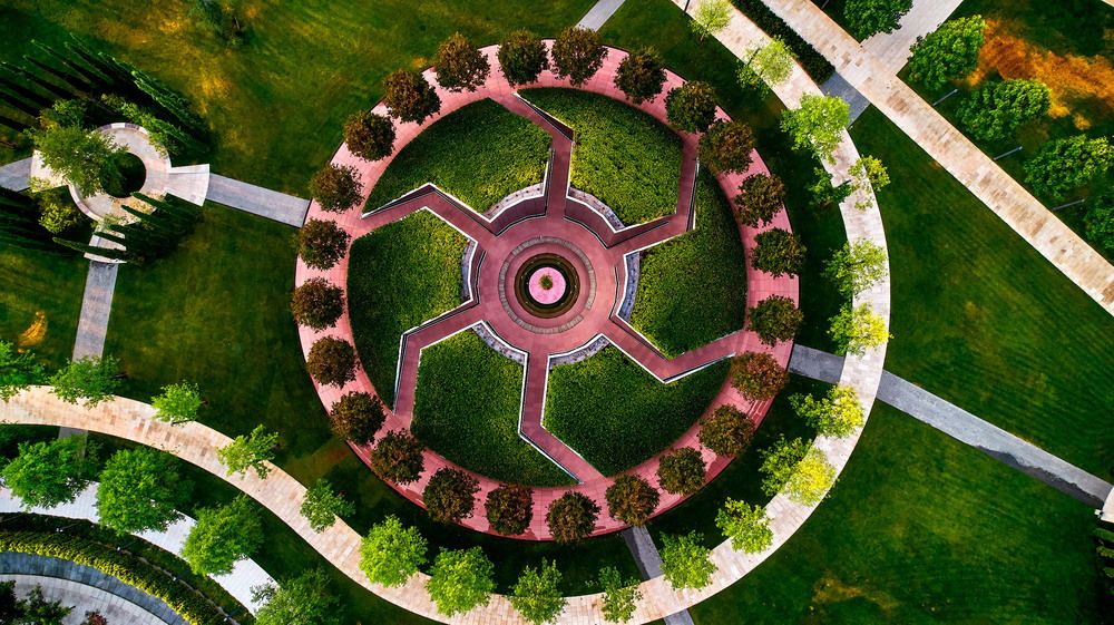 Фотография автора Totoro