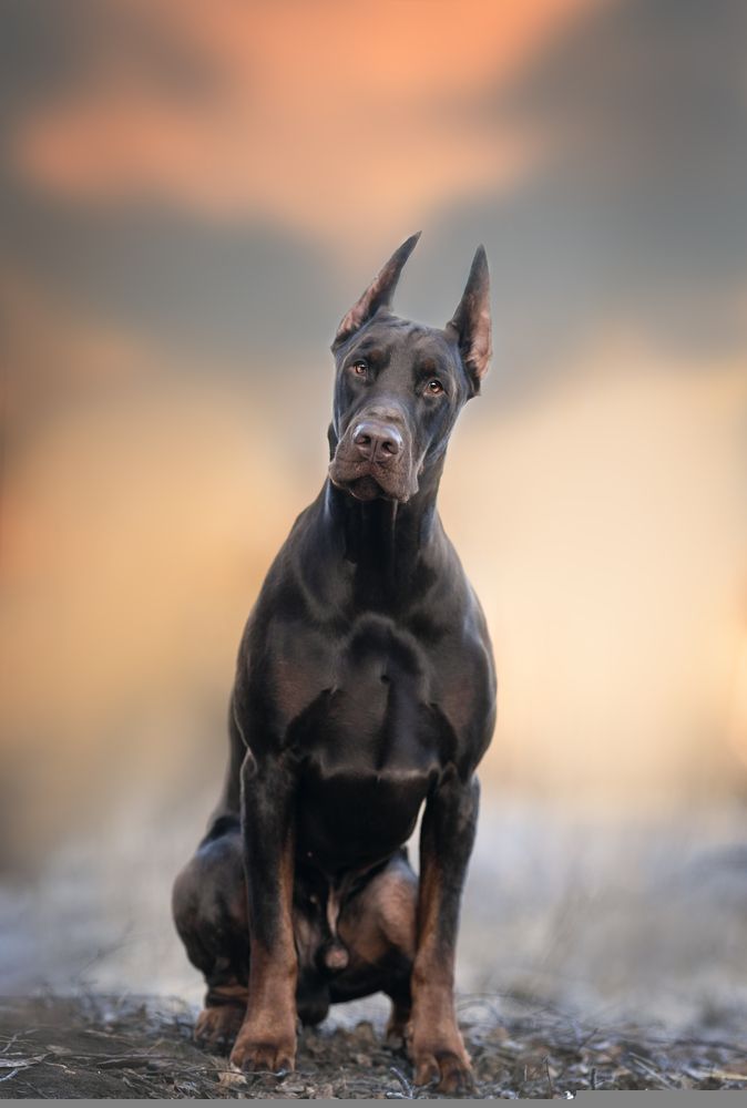 Фотография автора Мария Клещенко