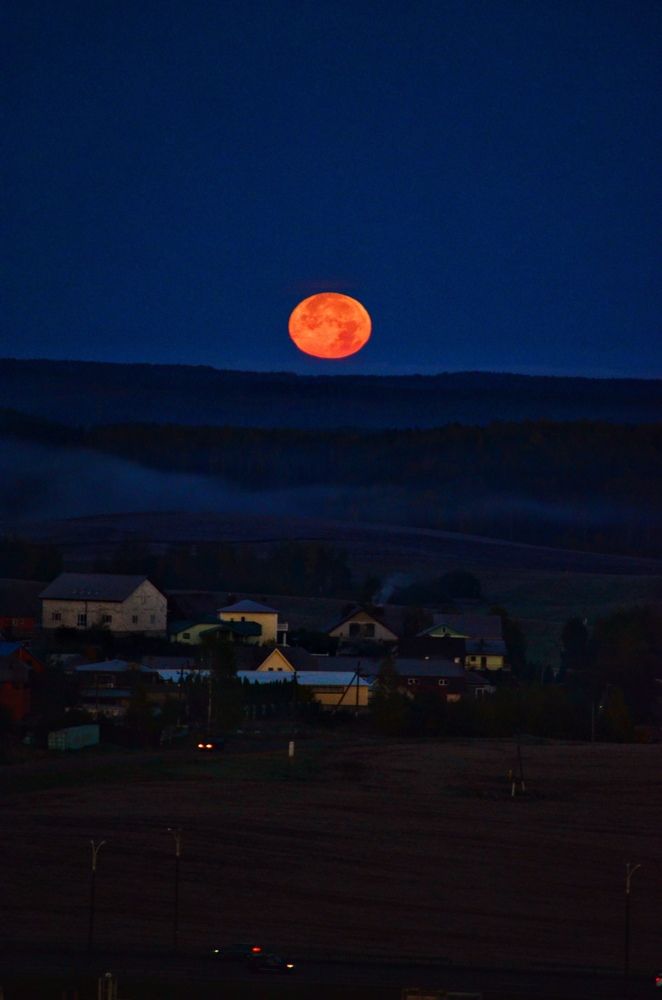 Photograph by Вероника Матиевская