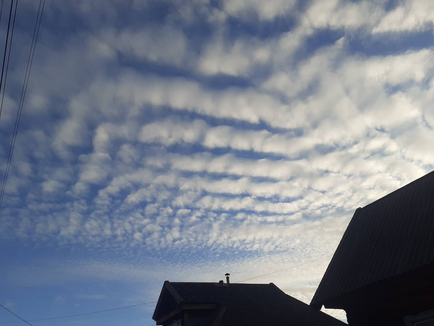 Photo #12125850