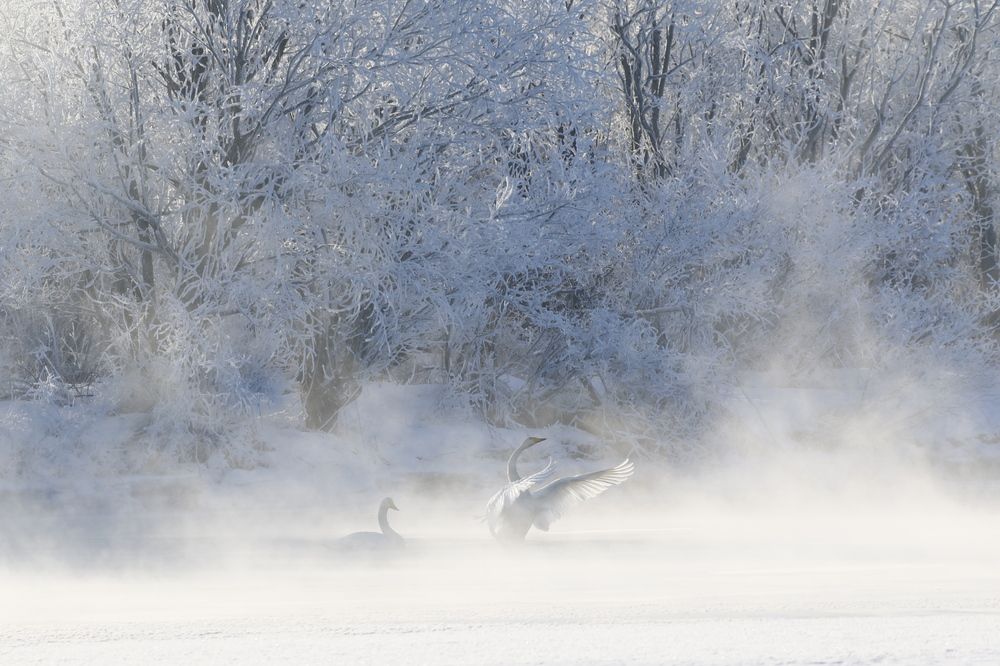 Photograph by Наталья Турчик