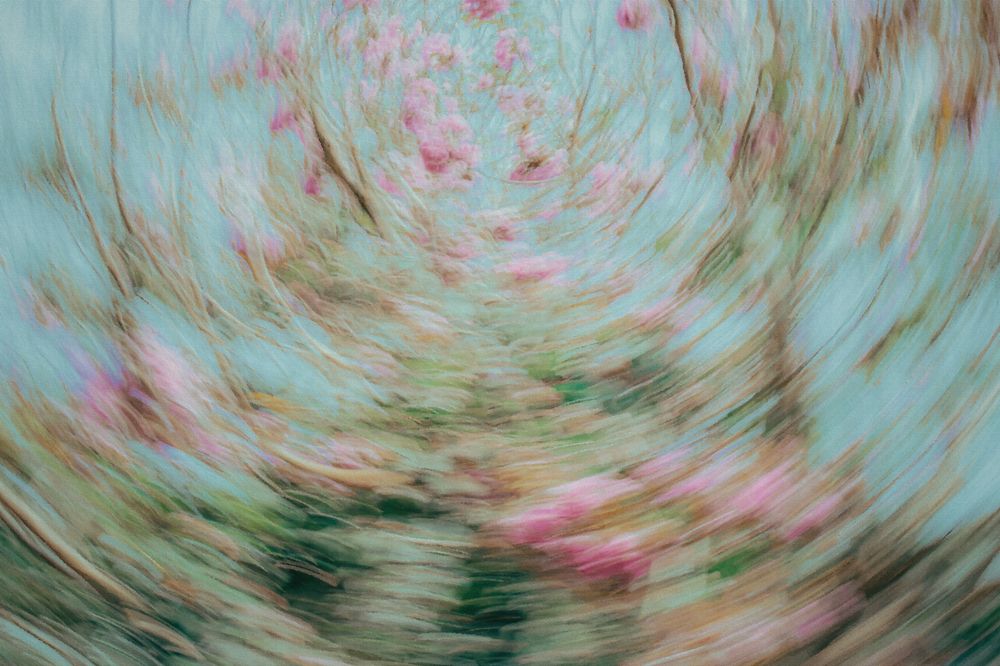 Photograph by Vinh Phan