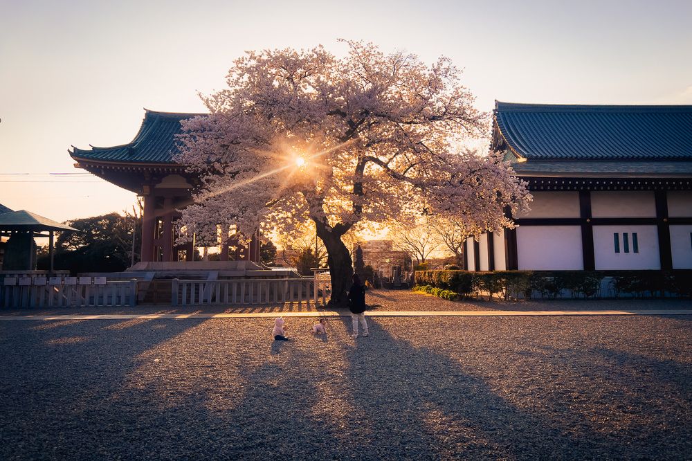 Photograph by SHAKE MD SAMIR