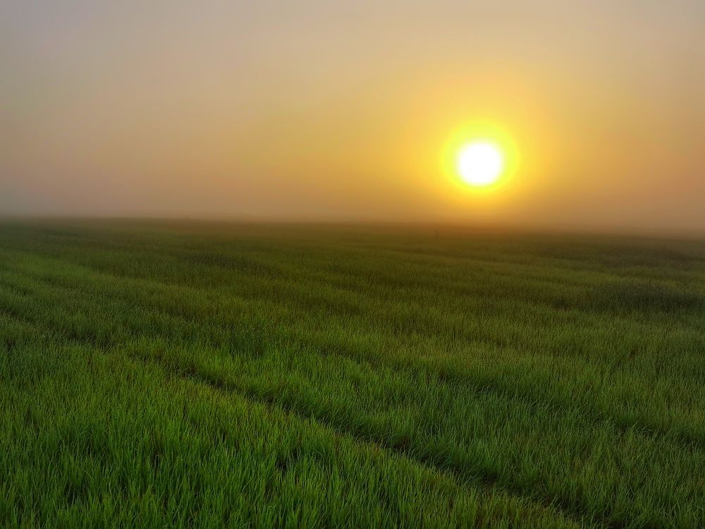Фотография автора Андрей Шестаков